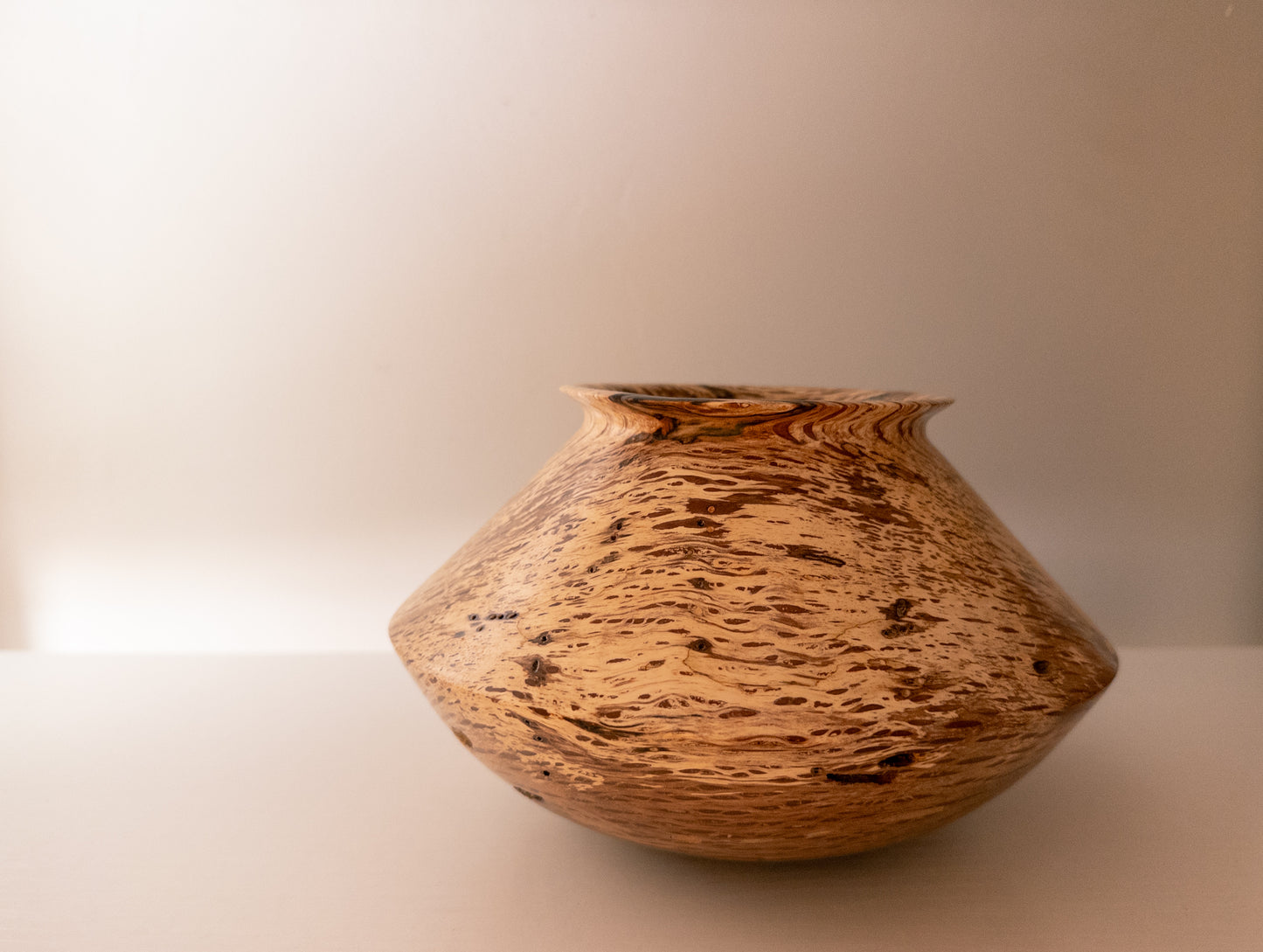 Black Walnut Sapwood Companion Vessels