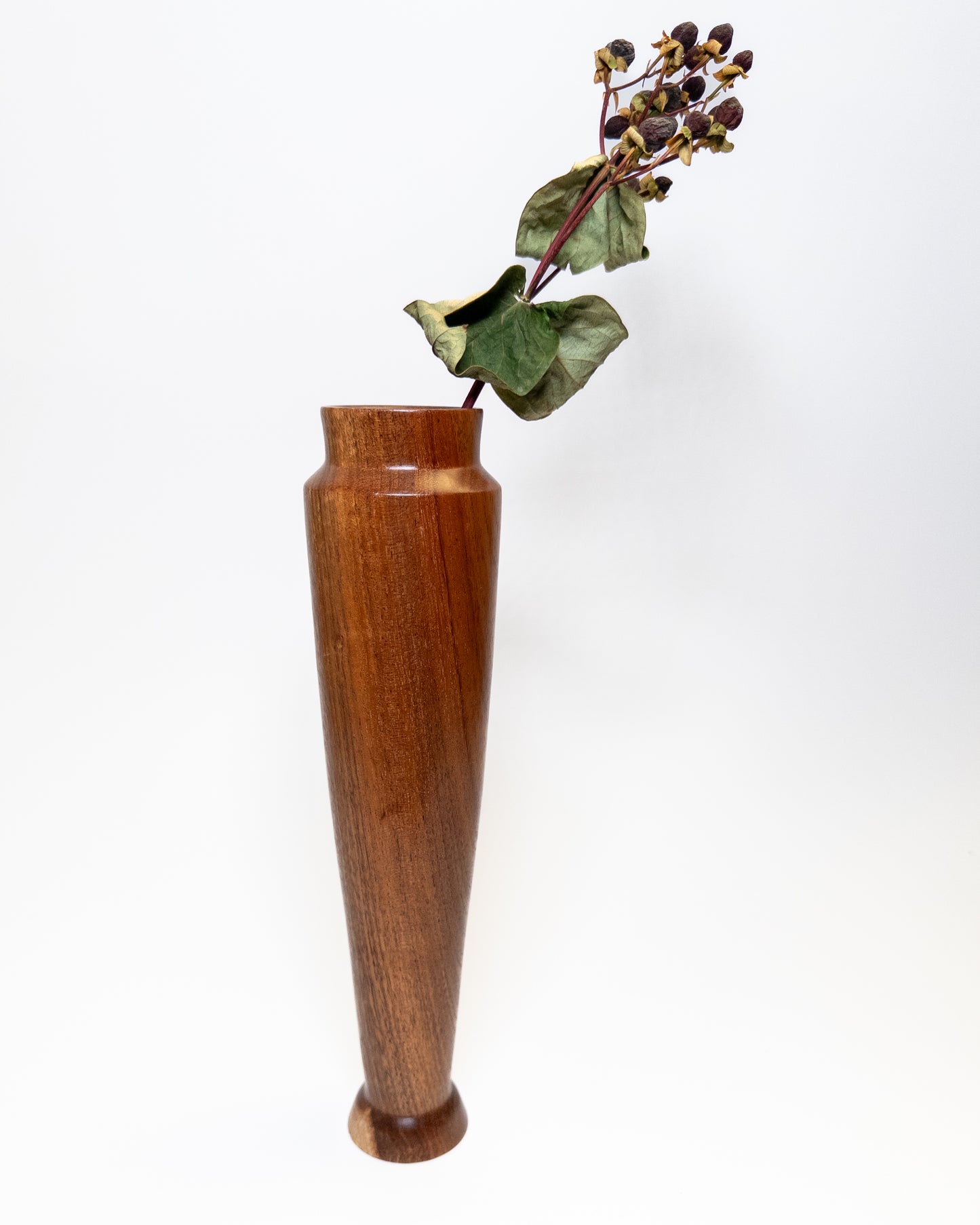 Black Acacia Vase